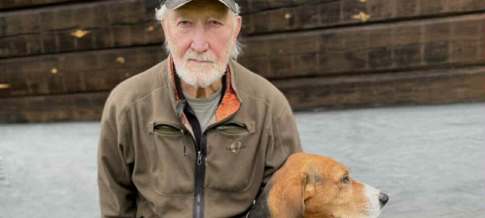 Ular sekin harakatda ogizga kiradilar Ular sekin harakatda ogizga kiradilar