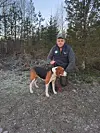 Goldrevs Dimma