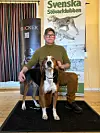 Mikko