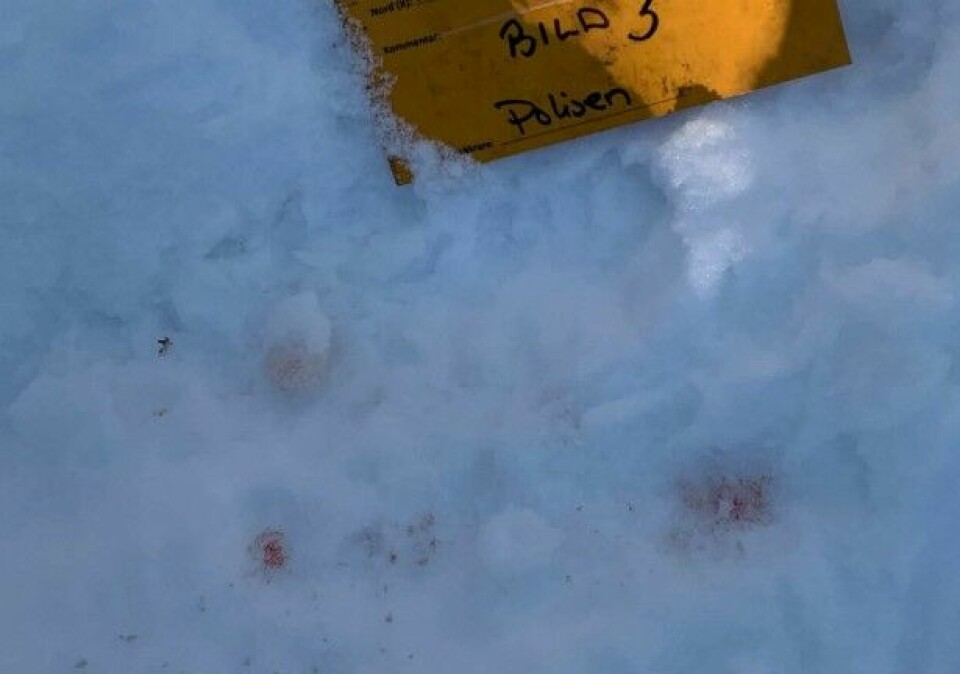 Blodspår hittades på den oanmälda skottplatsen. Foto: Förundersökningen