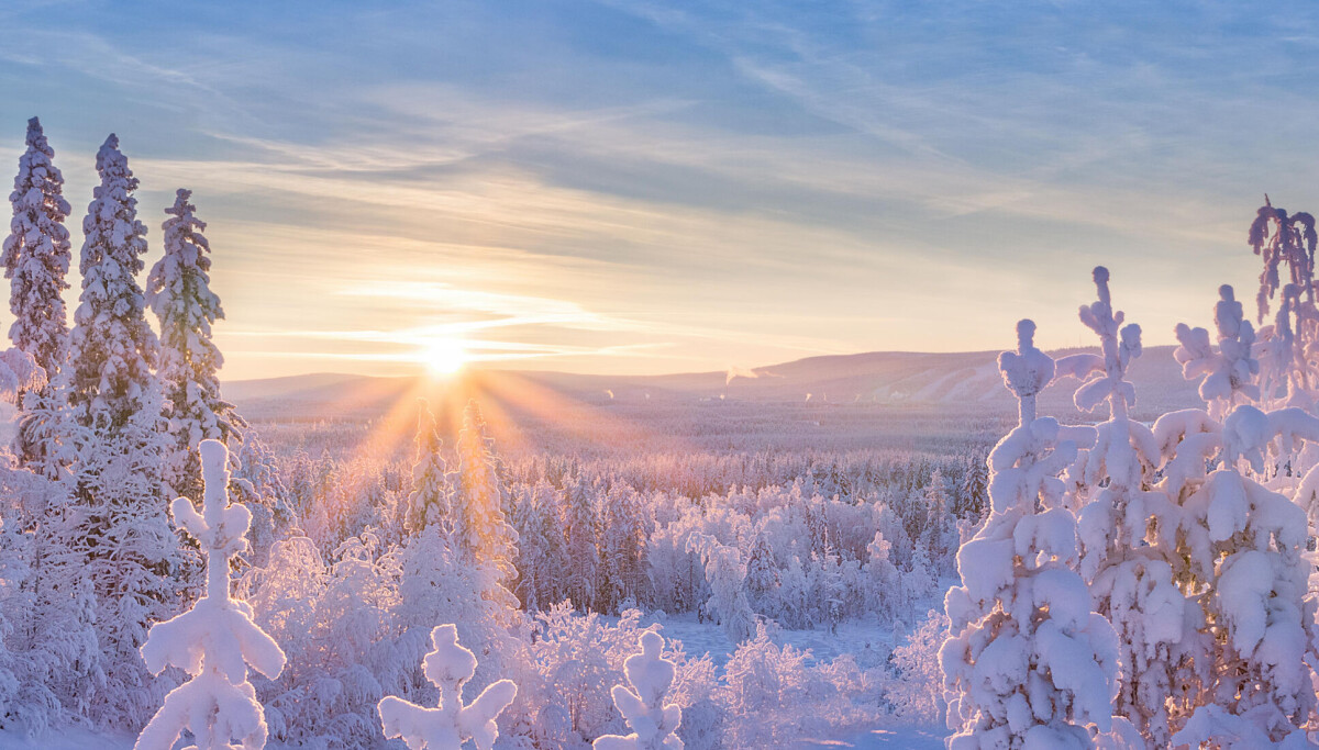 www.jaktjournalen.se